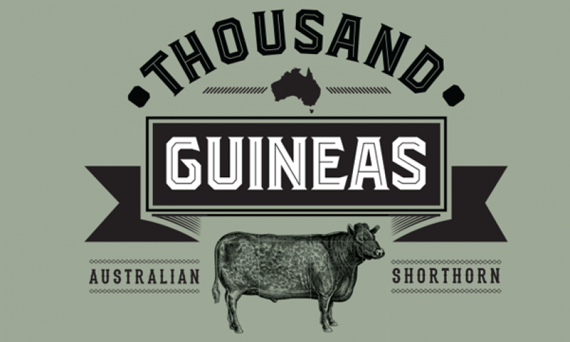 ‘Thousand Guineas’ JBS Shorthorn Brand Launched