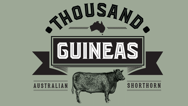 ‘Thousand Guineas’ JBS Shorthorn Brand Launched