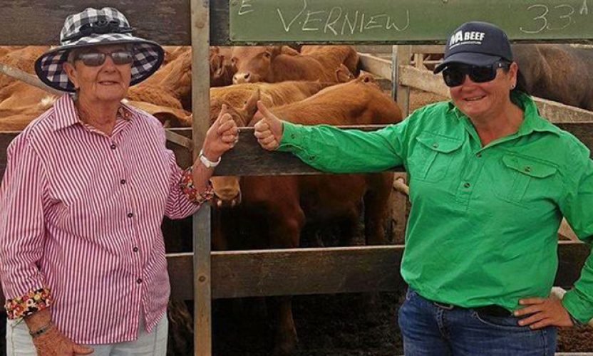 Roma sale success for Verniew